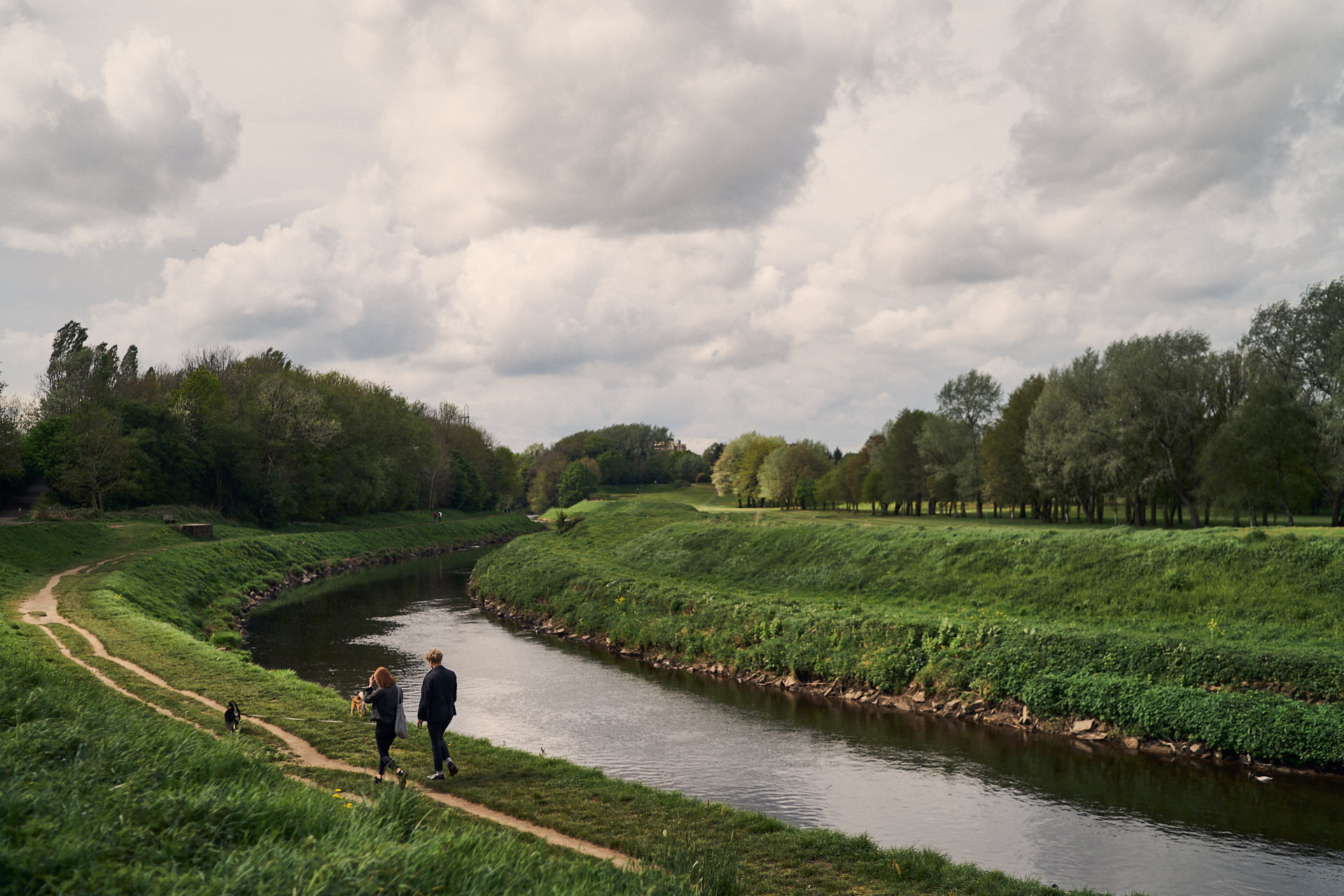 couple taking their dogs for a walk in a manchester park