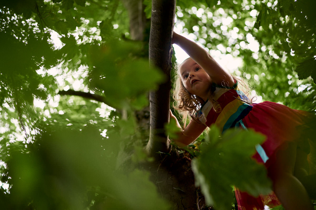todler climbing a tree in the woods