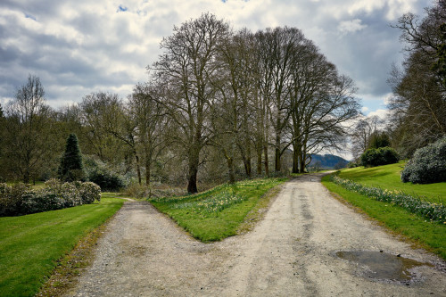 Gregynog Hall Wedding Venue Grounds