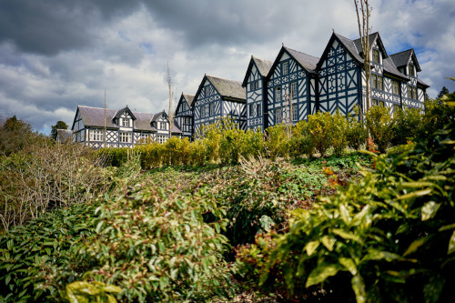 Gregynog Hall Wedding Photographers