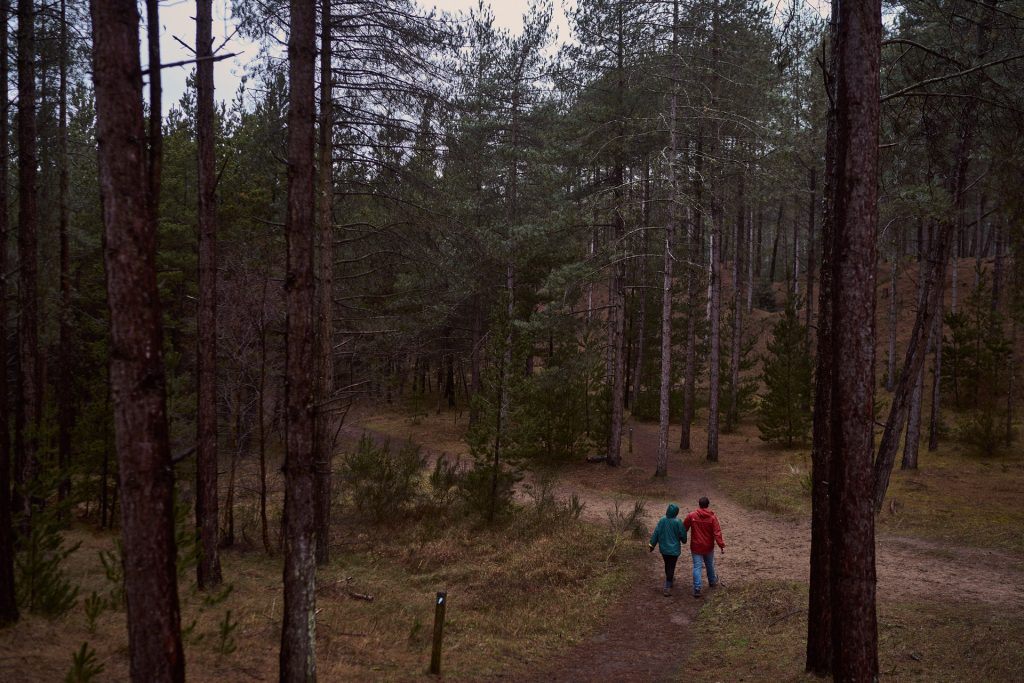 Couple walk hand in hand through the woods, it's a secret that he's going to propose